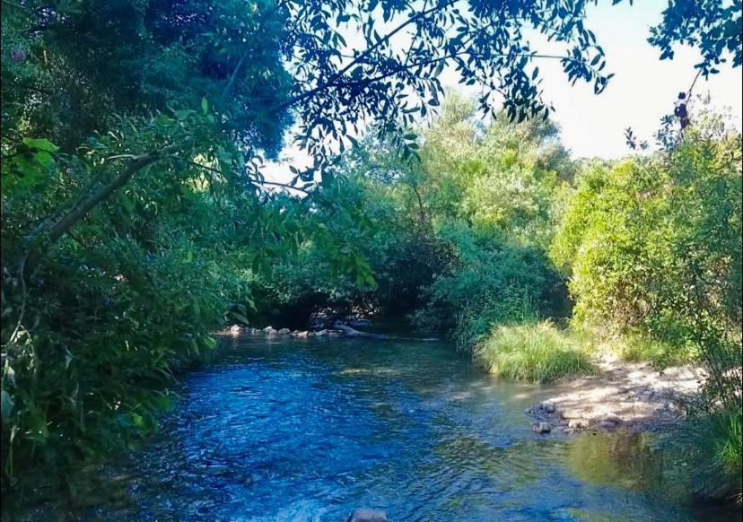 La Buhardilla De Torrecillas 엘보스크 외부 사진